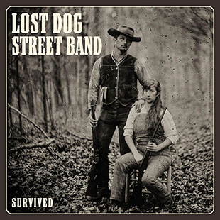 lost dog street band