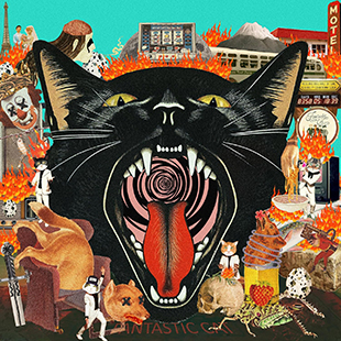 Fantastic Cat